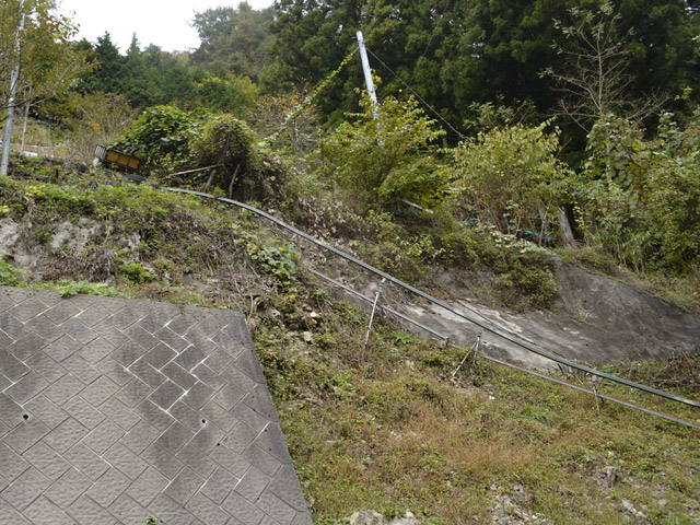 ���R�X�ѓS��,�ѓS,�p����,���R��,�E�H�[�L���O,���m���[��