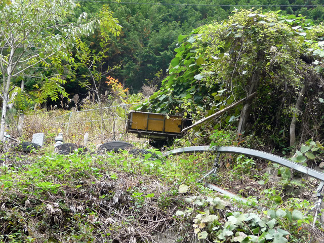 ���R�X�ѓS��,�ѓS,�p����,���R��,�E�H�[�L���O,���m���[��