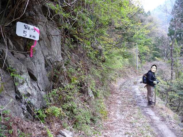 ���R�X�ѓS��,�ѓS,�p����,���R��,�O����,�ѓc�c�я�