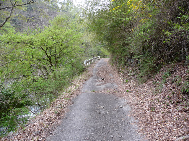 ���R�X�ѓS��,�ѓS,�p����,�O����,�ѓc�c�я�