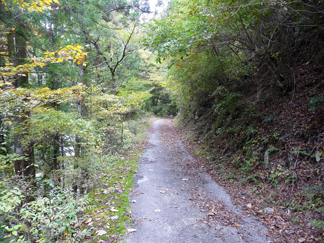 ���R�X�ѓS��,�ѓS,�p����,�O����,�ѓc�c�я�