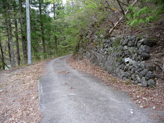 ���R�X�ѓS��,�ѓS,�p����,���R���񍆋���,�Ȃ��Ƃ�̋�