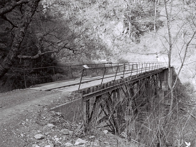 ���R�X�ѓS��,�ѓS,�p����,���R���񍆋���,�Ȃ��Ƃ�̋�