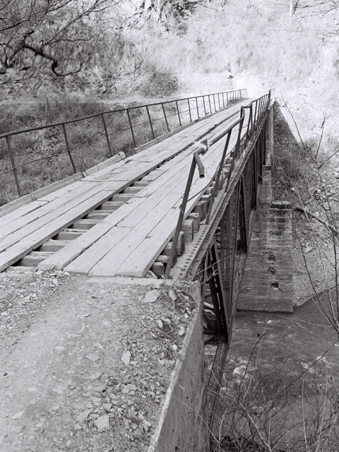 ���R�X�ѓS��,�ѓS,�p����,���R���񍆋���,�Ȃ��Ƃ�̋�