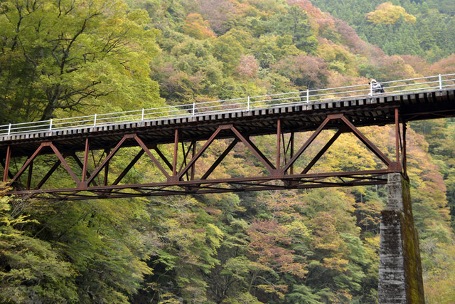 ���R�X�ѓS��,�ѓS,�p����,���R���񍆋���,���[�����g���X