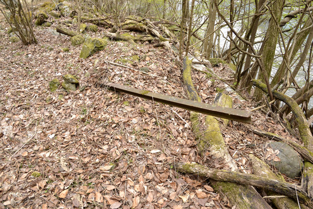 ���R�X�ѓS��,�ѓS,�p����,�`�̓���ԏ�,���[��,���H,���R��