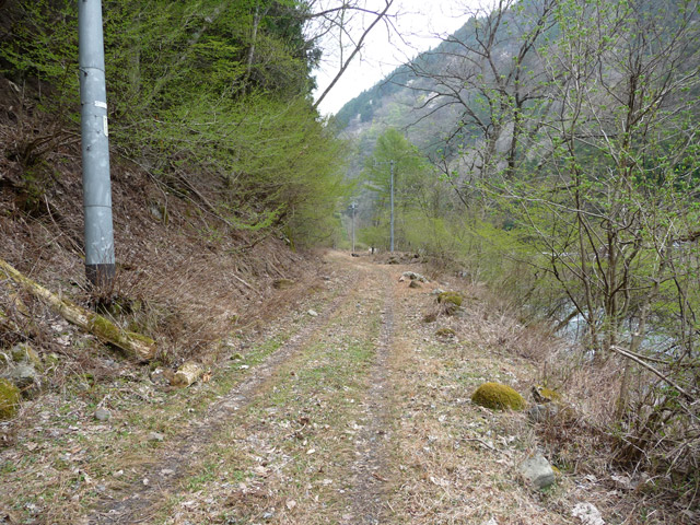 ���R�X�ѓS��,�ѓS,�p����,�`�̓���ԏ�,�O����,�ѓc�c�я�,���R��