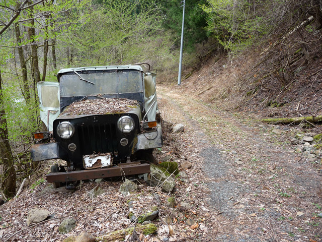 ���R�X�ѓS��,�ѓS,�p����,�`�̓���ԏ�,���q���W�[�v,�g���C���C�g�]�`���}�j���A��,�|����