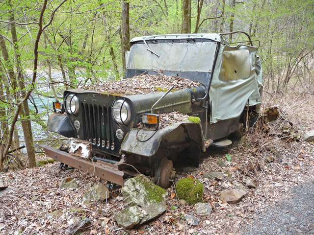 ���R�X�ѓS��,�ѓS,�p����,�`�̓���ԏ�,���q���W�[�v,���R��,�O����