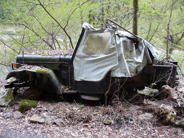 ���R�X�ѓS��,�ѓS,�p����,�`�̓���ԏ�,���q���W�[�v,���R��,�y