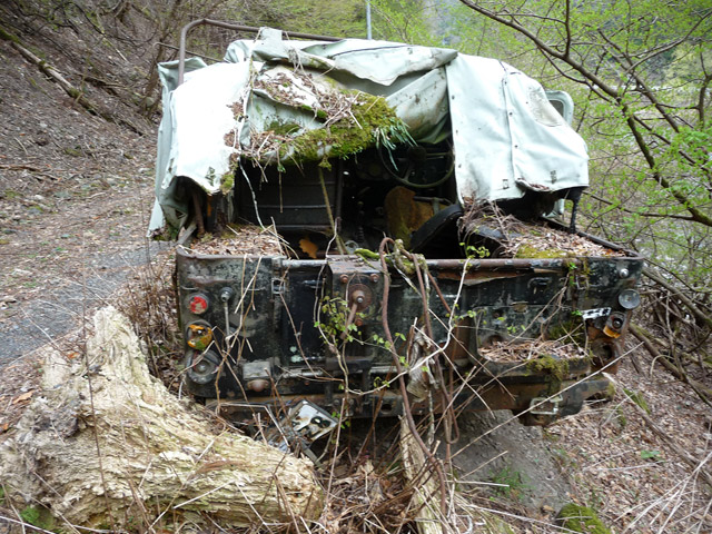 ���R�X�ѓS��,�ѓS,�p����,�`�̓���ԏ�,���q���W�[�v,���R��,�i���o�[