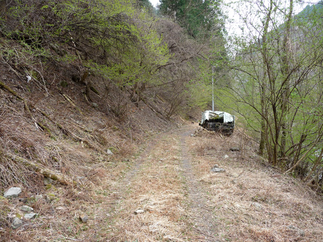 ���R�X�ѓS��,�ѓS,�p����,���R��,�ѓc�c�я�,���q���W�[�v,�ѓ�