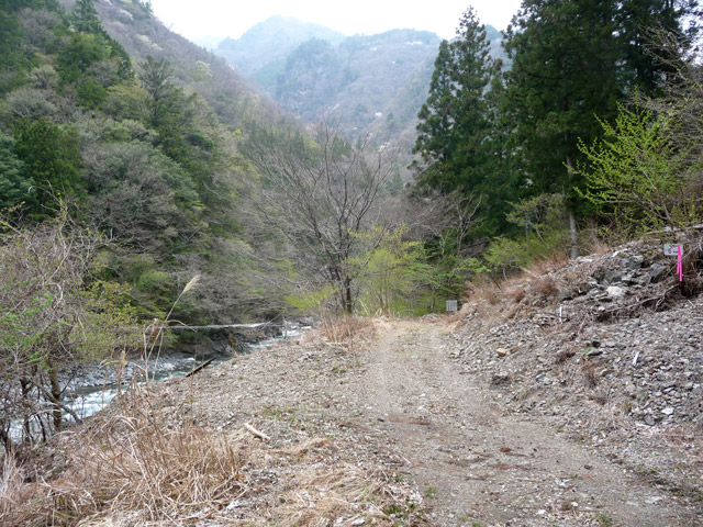 ���R�X�ѓS��,�ѓS,�p����,���R��,�ѓc�c�я�,�`�V����ԏ�,�ѓ�