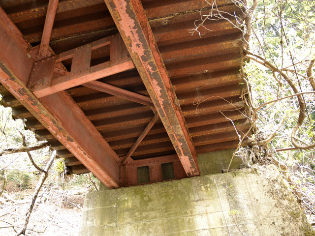 ���R�X�ѓS��,�ѓS,�p����,���R���O������,��|�H����,����