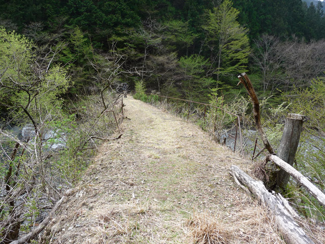 ���R�X�ѓS��,�ѓS,�p����,���R���O������,����,�ѓc�c�я�