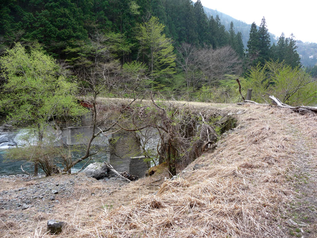 ���R�X�ѓS��,�ѓS,�p����,���R���O������,�S��,�Ȑ�