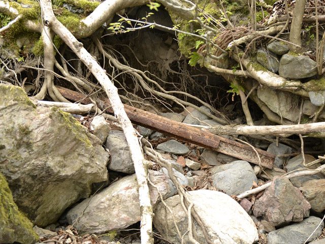 ���R�ѓS,�X�ѓS��,�p����,���R���O������,���[��,���X�Ǔn