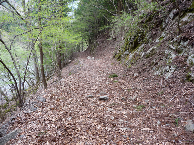 ���R�ѓS,�X�ѓS��,�p����,�ѓ�,�ѓc�s,�؍މ^���O����