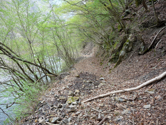 ���R�X�ѓS��,�ѓS,�p����,�ѓc�s,�ѓ�,2�t�B�[�g6�C���`