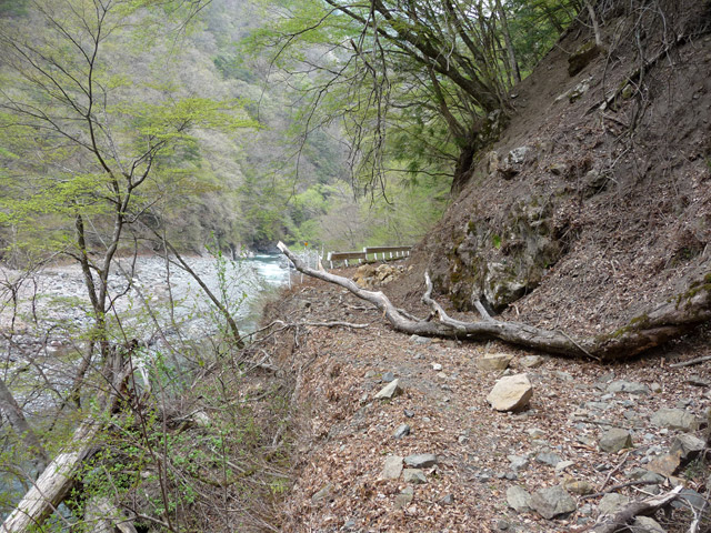 ���R�X�ѓS��,�ѓS,�p����,����c�ы�,�ѓ�,�i���[�O����