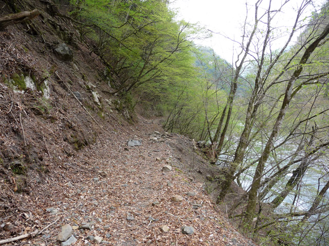 ���R�X�ѓS��,�ѓS,�p����,����c�ы�,�ѓ�,�i���[�O����