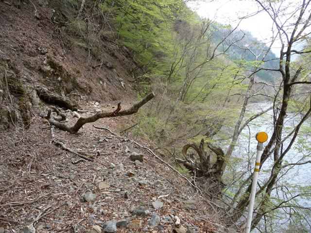 ���R�X�ѓS��,�ѓS,�p����,�ѓc�s,���R�ѓ�,�i���[�O����