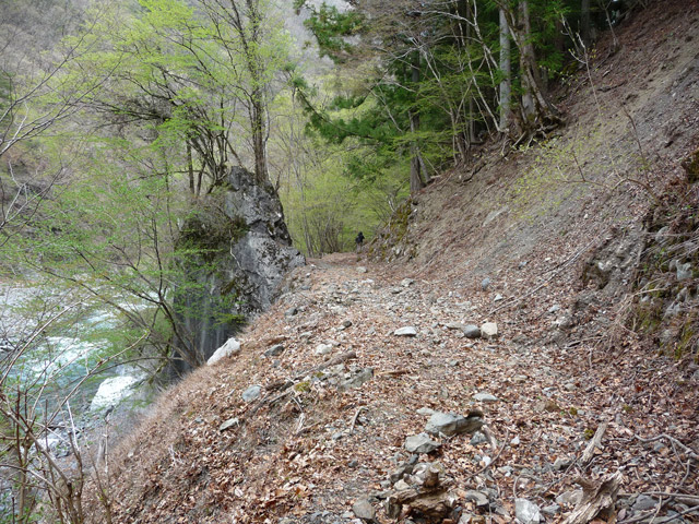 ���R�X�ѓS��,�ѓS,�p����,����,�H��,�g���b�R�O����