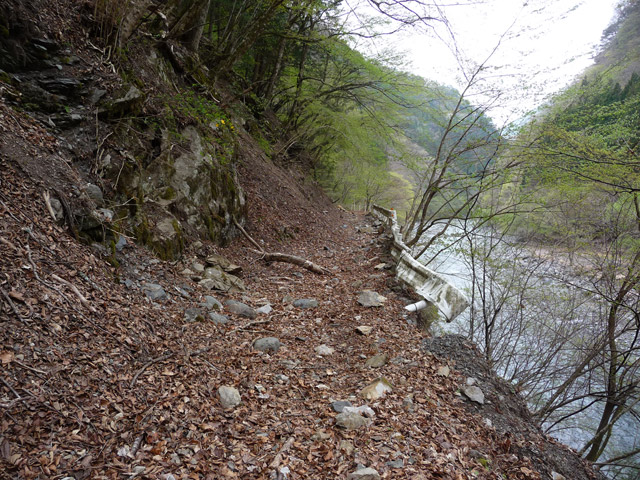 ���R�X�ѓS��,�ѓS,�p����,����,���R��,�i���[�O����