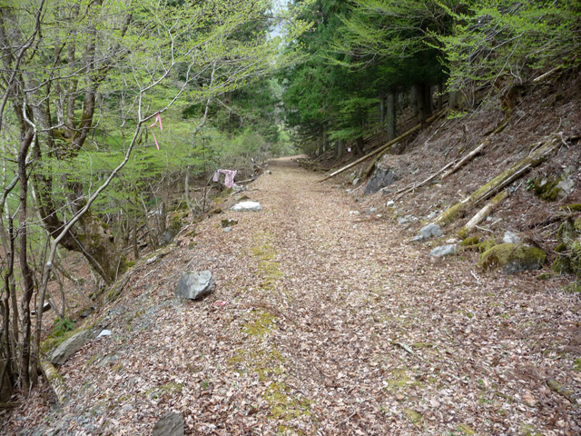 ���R�X�ѓS��,�ѓS,�p����,����,���z,�i���[�O����