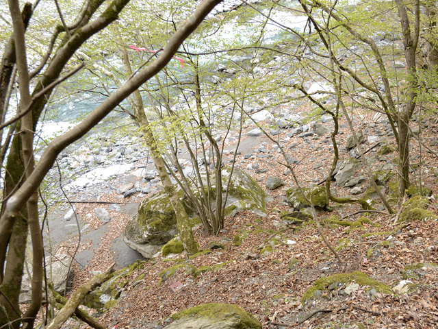 ���R�X�ѓS��,�ѓS,�p����,���H,���[��,�g���b�R�O����