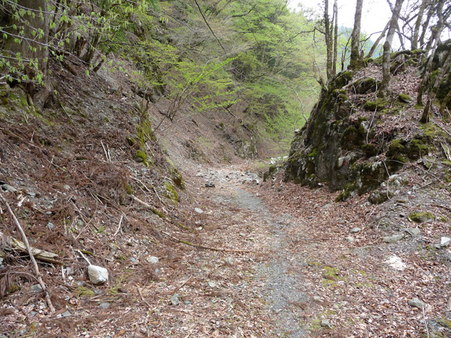 ���R�X�ѓS��,�ѓS,�p����,�؂�ʂ�,�Ȑ�,�g���b�R�O����