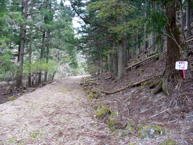 ���R�X�ѓS��,�ѓS,�p����,����,�ѓ�,�؍މ^���O����