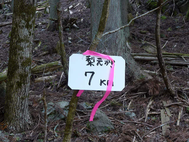 ���R�X�ѓS��,�ѓS,�p����,����,�ѓ�,�؍މ^���O����