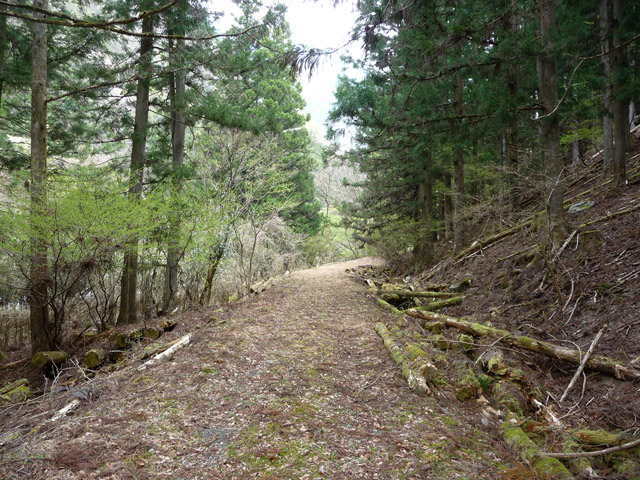 ���R�ѓS,�X�ѓS��,�p����,�ѓ�,����,�їp�O����