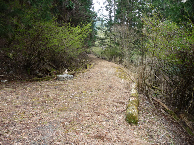 ���R�ѓS,�X�ѓS��,�p����,�Ȑ�,�ѓc�s,�i���[�O��