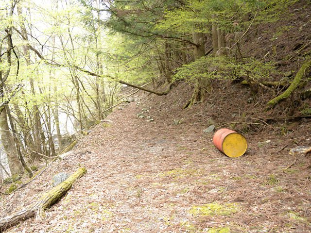 ���R�ѓS,�X�ѓS��,�p����,�ѓc�s,2�t�B�[�g6�C���`,�c�я��O��