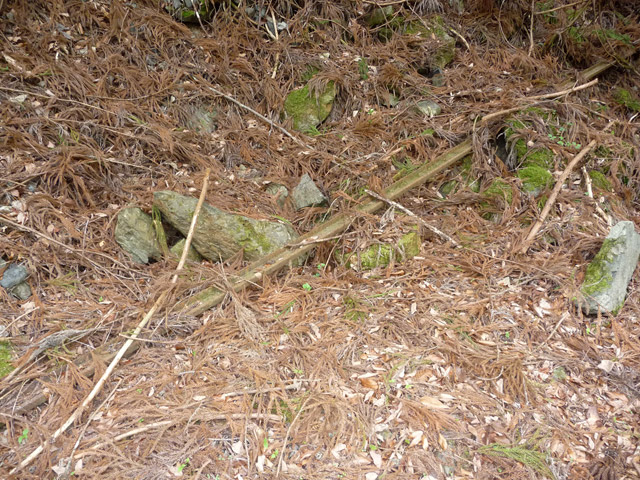 ���R�ѓS,�X�ѓS��,�p����,���[��,���H,�c�я��O��