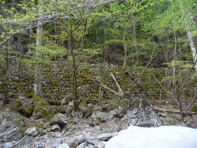 ���R�X�ѓS��,�ѓS,�p����,���R���3������,�Ί_,�O����