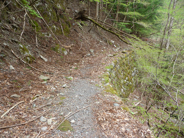 ���R�X�ѓS��,�ѓS,�p����,���R���3������,����,�؍މ^���O����