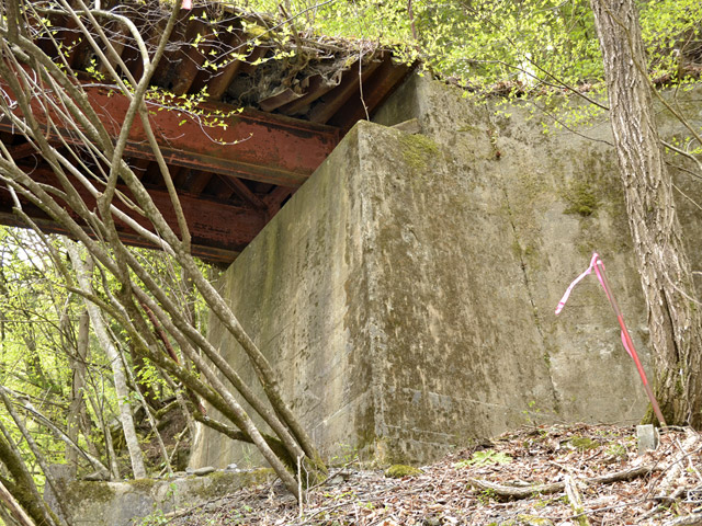 ���R�X�ѓS��,�ѓS,�p����,���R���3������,����,�؍މ^���O����