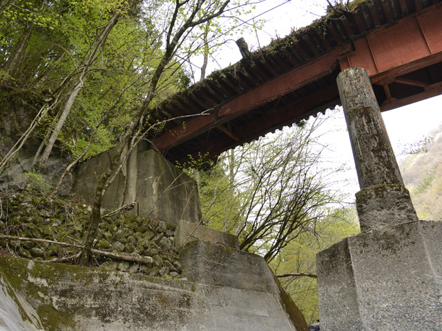 ���R�X�ѓS��,�ѓS,�p����,���R���3������,�a��,�i���[�O����