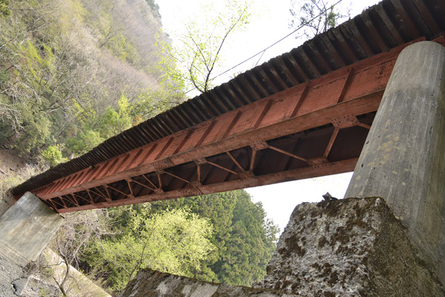 ���R�ѓS,�X�ѓS��,�p����,���R���O������,�v���[�g�K�[�_�[��,�i���[�O����