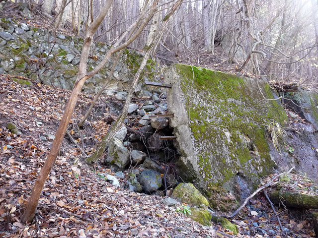 �Y�X�ѓS��,�p����,�ѓS,�Ί_,�i��