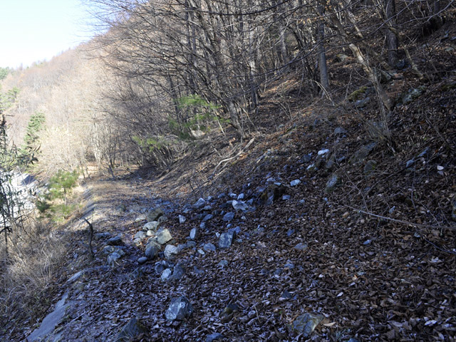 �Y�X�ѓS��,�p����,�ѓS,�Ί_,�i��