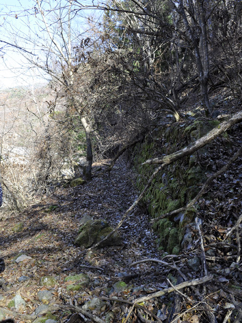 �Y�X�ѓS��,�p����,�ѓS,�O����