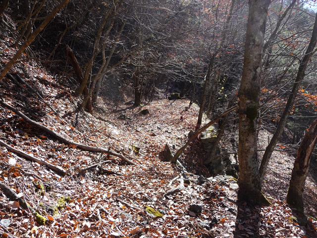 �Y�X�ѓS��,�p����,�ѓS,����