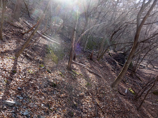 �Y�X�ѓS��,�p����,�ѓS,����