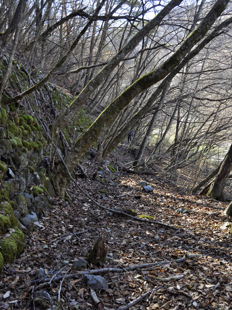 �Y�X�ѓS��,�p����,�ѓS,�O����