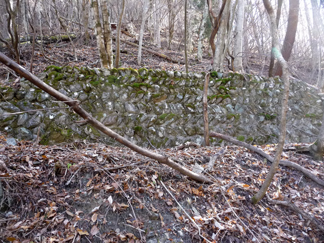 �Y�X�ѓS��,�p����,�ѓS,�O����O��