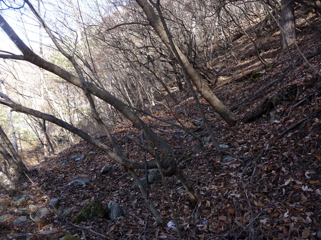 �Y�X�ѓS��,�p����,�ѓS,�O����O��